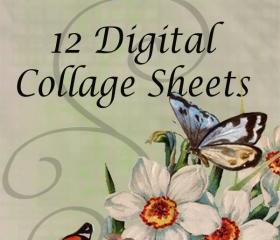 Digital Collage Sheet - Clip Art Elements- Digital Scrapbooking-Best Deal- Choose 12 Collage Sheets