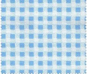 Basic Bright Fabric Blue and White Gingham - Windam New