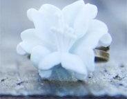 White Lily Flower Adjustable Ring Vintage Style - Dove