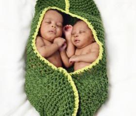 Twin Peapod cocoon