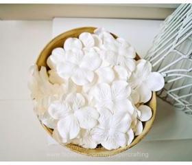 10 Hydrangea big white / pack