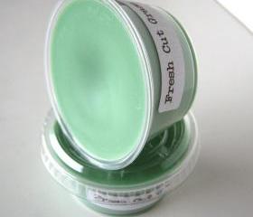 Fresh Cut Grass Scented Soy Wax Melt 2 Pack