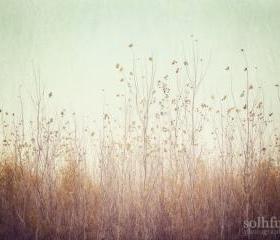 Dreamy Soft Autumn Trees Reaching the Aqua Sky 8x10 Art Photography Print
