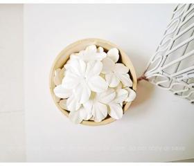 30 Scrapbooking flowers petal white / pack