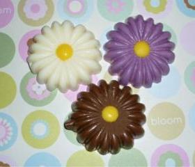 Chocolate Shaped Spring Daisy Flower Set of 12