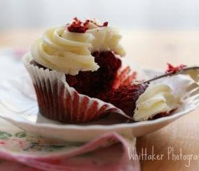 Red Velvet - 4x6 fine art photograph