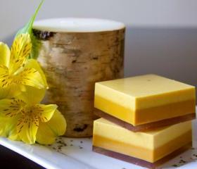 Goat Milk Soap - Orange Tangerine Festival Goat Milk Soap 