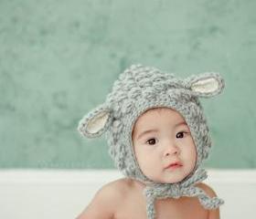 Little Lamb (Wool)