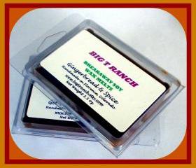 Gingerbread & Spice - Breakaway Melts - Autumn Tarts- Highly Scented