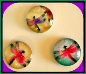 Magnets - Dragonflies Magnet Set of 3 - (Set 3) - 1 Inch Domed Glass Circles
