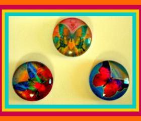 Magnets - Paintbox Butterflies - Magnet Set of 3 --1 Inch Domed Glass Circles