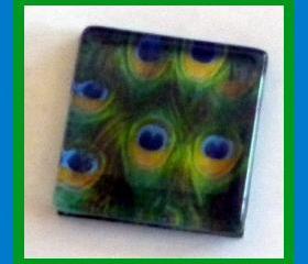 Magnet - Peacock Feather - 1 Inch Glass Square