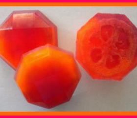 Loofah Soap - Pomegranate Mango Papaya Goat Milk Soap Exfoliator