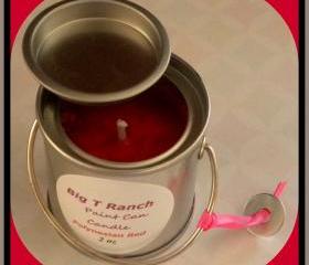 Soy Candle - Paint can - Polynesian Red scented - 2 oz
