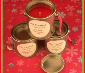 Candle - Paint Can Soy Candle - Juicy Watermelon scented - 2 oz