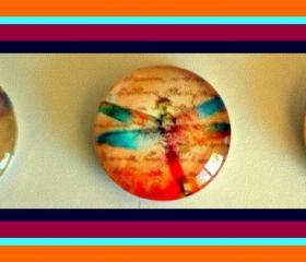 Dragonflies Magnet Set of 3 - (Set 2) - 1 Inch Domed Glass Circles
