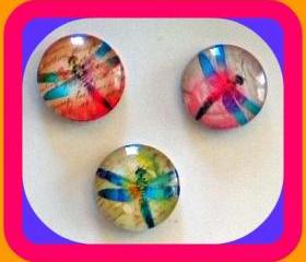 Magnets - Set of 3 - Dragonflies (Set 1) - 1 Inch Domed Glass Circles