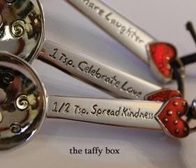 Measuring Spoon Set