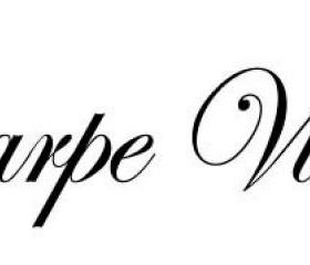 Carpe Vino vinyl decal - UK seller