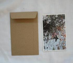 A6 set of 50 Brown Kraft envelopes size 4.5 inch X7 inch for photo envelope or postcard