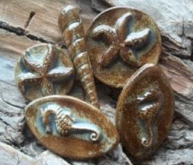 Seashell cabochons