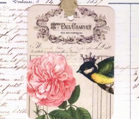 Tags French Crowned Bird and Rose