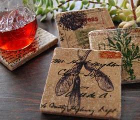Vintage Botanicals coaster set