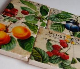 Vintage Fruit and Postcards coasters