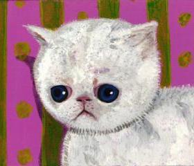 Print of sad Allergic cat