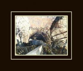 Down 5 x 7 Original Photograph, other sizes available