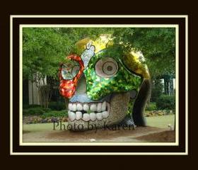 Charlotte's Skull 5 x 7 Original Photograph, other sizes available