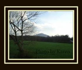 Calm Meadow 5 x 7 Original Photograph, other sizes available