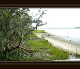 Mossy Retreat 5 x 7 Original Photograph, other sizes available
