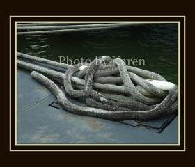 Hard Ties 5 x 7 Original Photograph, other sizes available