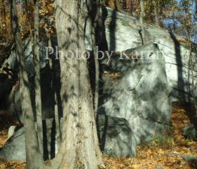 Shadows 5 x 7 Original Photograph, other sizes available