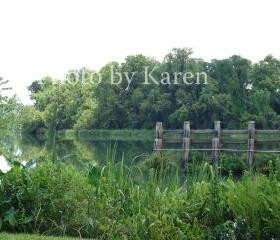 Silence 5 x 7 Original Photograph, other sizes available