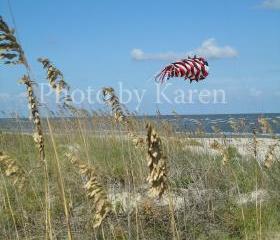 Weed Kite 5 x 7 Original Photograph, other sizes available