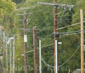 Telephone Poles 5 x 7 Original Photograph, other sizes available