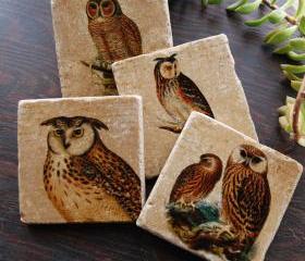 Owl coasters - Keepers of the Forest