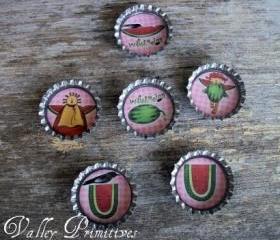 Bottle Cap Magnets, Watermelon,Summer, Set of 6,