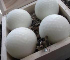 Golf ball Soap gift set