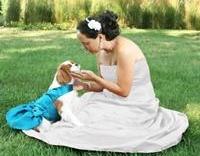 Custom Wedding Dog Dresses