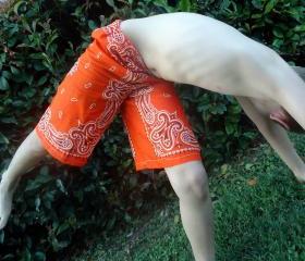 Bandana Pants Neon Orange Sizes 2T to 6T Unisex