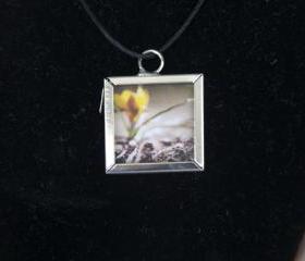 Sprout Glass Pendant with Black Cord