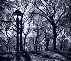 Central Park New York photo black & white architecture 8x12" print