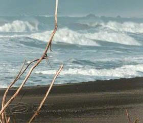 Beach Photo surf ocean waves black sand log print 8x12"