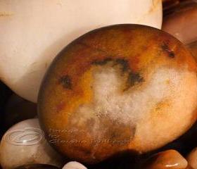 Beach photo macro stone pebbles close up orange print 5x7"