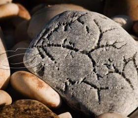 Macro photo, beach photo, stone photo, alien writing, 5x7" print