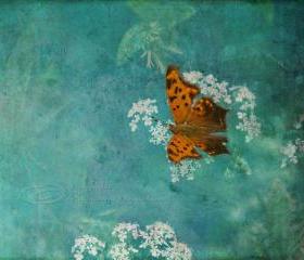 Butterfly photo nursery decor art photo mint green orange white 8x10" print