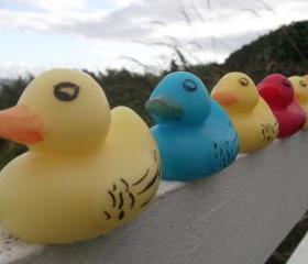 Rubber Duck Soap - any colour: Blue, Red, Pink, Orange, Green or Yellow